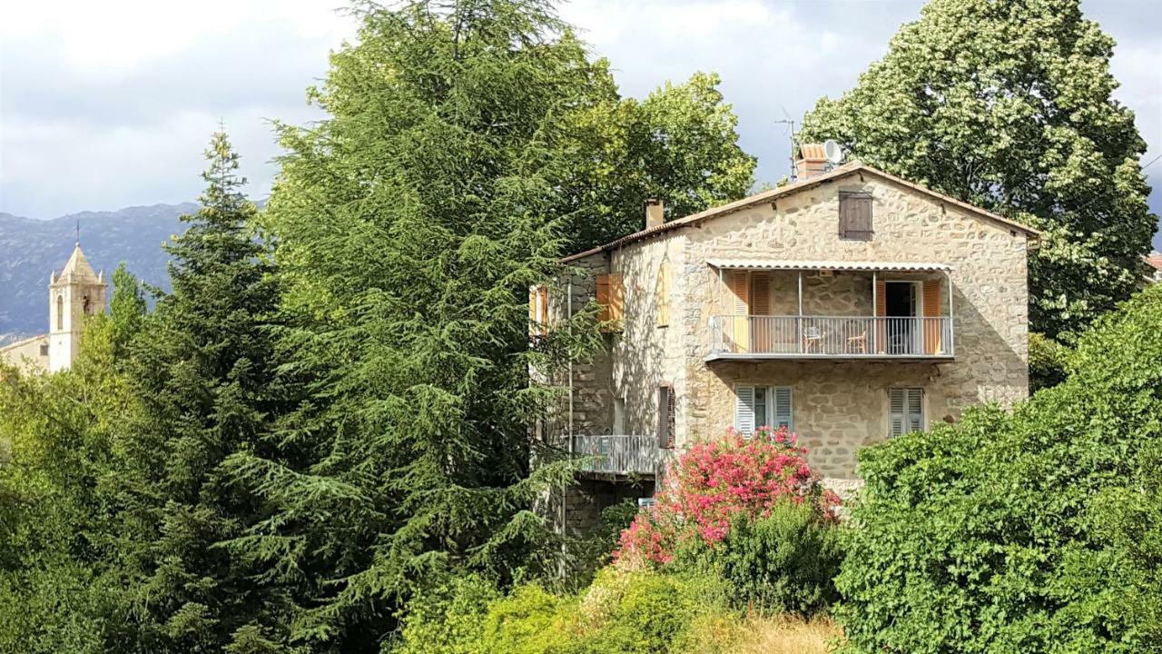 Housica & Co. Apartment Ucciani Exterior photo